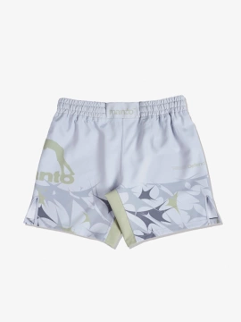MANTO fight shorts TERRA grau