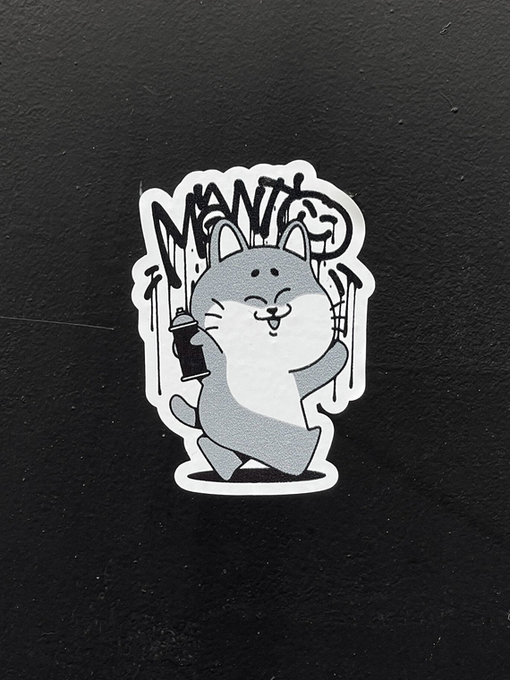 MANTO t-shirt DEBZA white