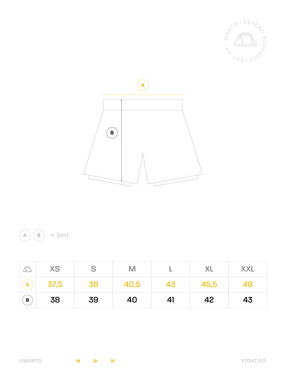 MANTO fight shorts VARSITY multicolor